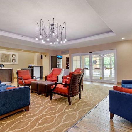 Comfort Inn & Suites Near Six Flags & Medical Center San Antonio Eksteriør bilde