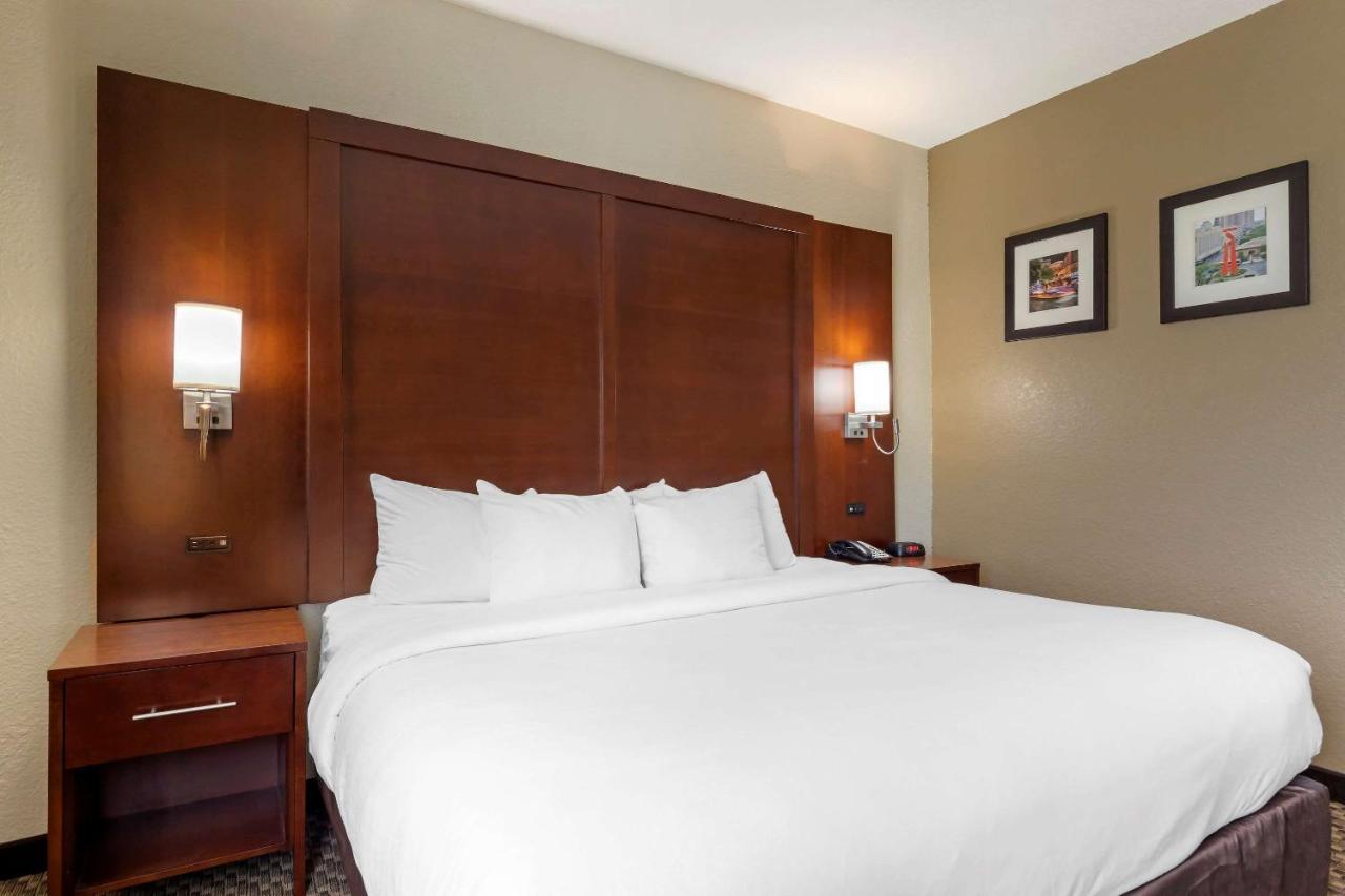 Comfort Inn & Suites Near Six Flags & Medical Center San Antonio Eksteriør bilde