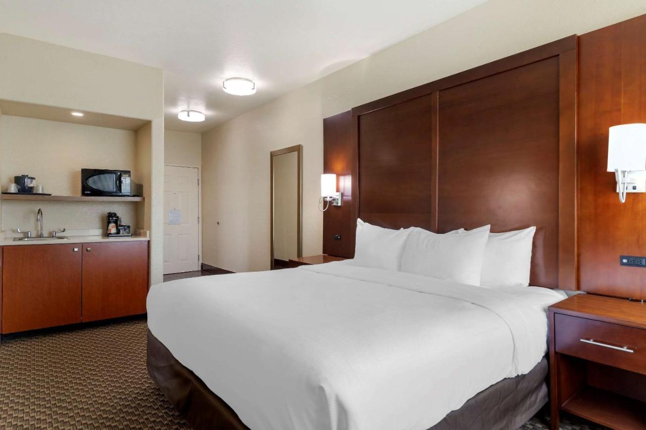 Comfort Inn & Suites Near Six Flags & Medical Center San Antonio Eksteriør bilde