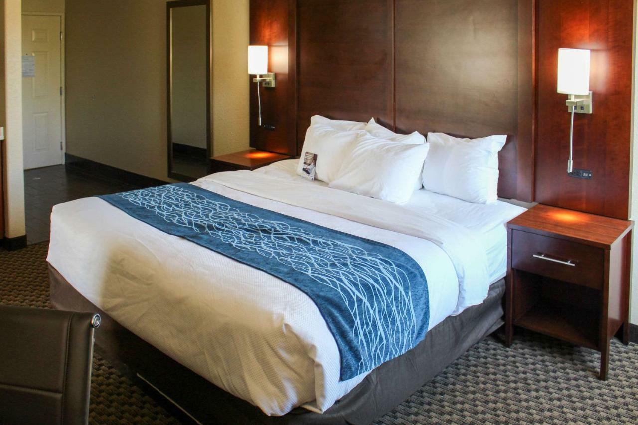 Comfort Inn & Suites Near Six Flags & Medical Center San Antonio Eksteriør bilde