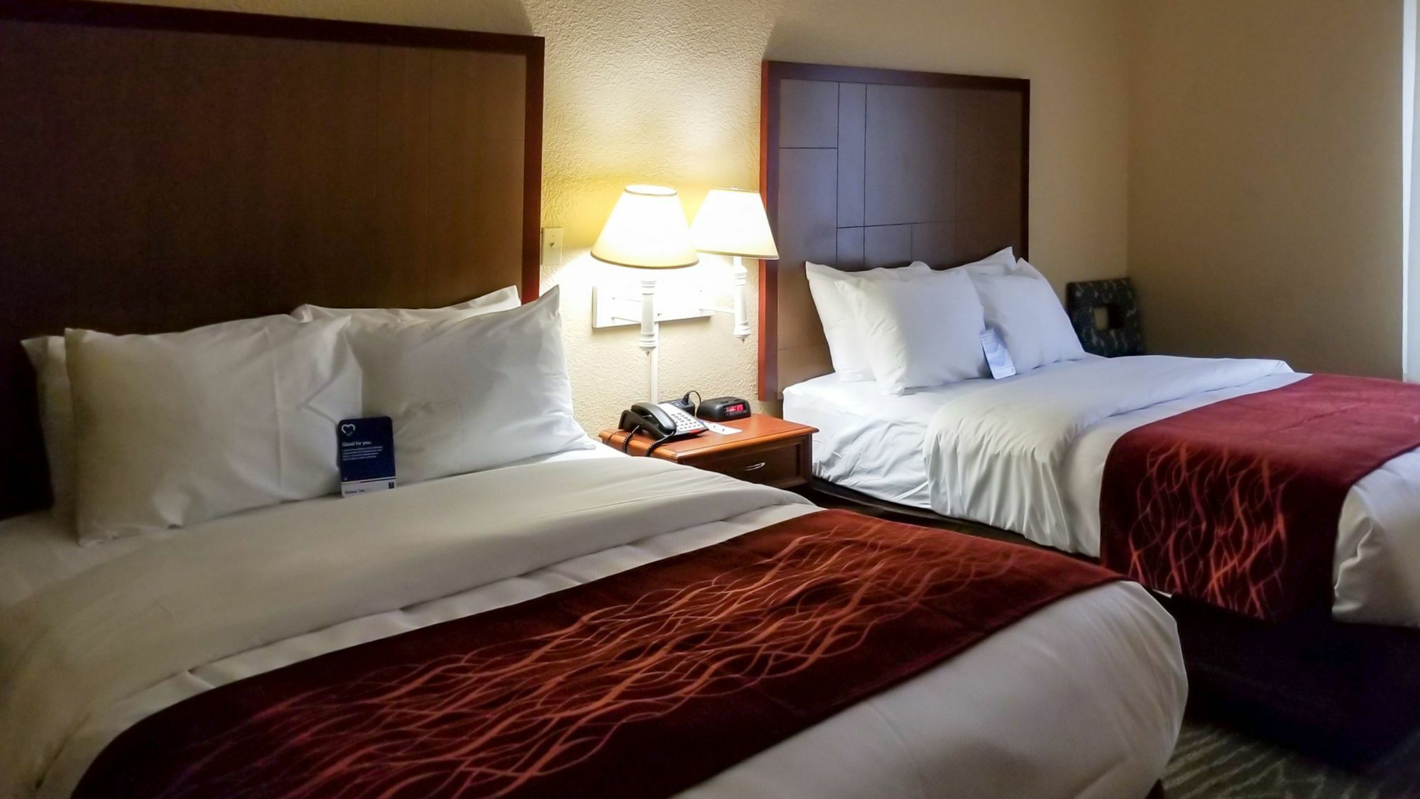 Comfort Inn & Suites Near Six Flags & Medical Center San Antonio Eksteriør bilde